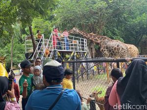 Mitigasi Cuaca Ekstrem, Objek Wisata Surabaya Siap Sambut Nataru Mitigasi Cuaca Ekstrem, Objek Wisata Surabaya Siap Sambut Nataru