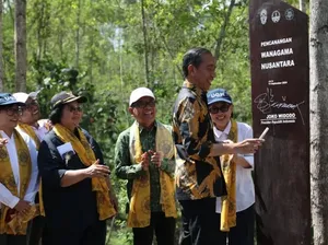 IKN Bakal Punya Hutan Pendidikan dan Riset, Almamater Jokowi Jadi Pengelola IKN Bakal Punya Hutan Pendidikan dan Riset, Almamater Jokowi Jadi Pengelola