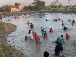 Warga Lamongan Ramai-ramai Nyusuk, Tradisi Cari Ikan Jelang Maulid Nabi