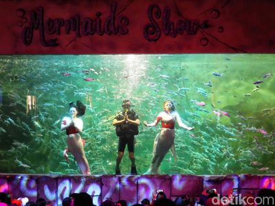 Aksi Putri Duyung yang Bikin Pengunjung Kagum
