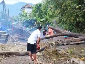 Pohon Tumbang Landa Karangasem Akibat Hujan Deras