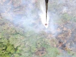 6 Helikopter Water Bombing Dikerahkan Padamkan Karhutla di 2 Kabupaten Sumsel