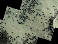 Foto Viral Mirip Laba-laba Raksasa di Mars, Begini Penjelasannya