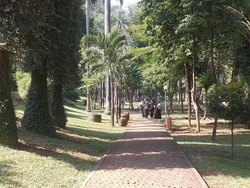 Pas buat Libur Hari Ini: Nongkrong di Taman Langsat