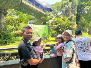 Kebun Binatang Ragunan Gelar Feeding Time Gorila di Ultah Ke-160