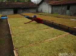 Aturan Baru Ini Disebut Berpotensi Lemahkan Industri Tembakau Dalam Negeri