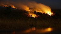 Potret Taman Nasional Brasilia Masih Membara