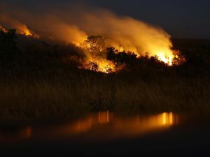 Potret Taman Nasional Brasilia Masih Membara
