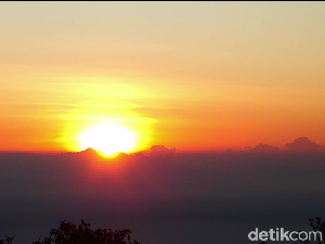Menikmati Sunrise dari Puncak B29 Negeri di Atas Awan Lumajang Menikmati Sunrise dari Puncak B29 Negeri di Atas Awan Lumajang