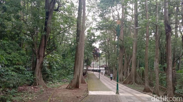 Rekomendasi tempat jogging di Depok