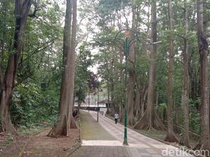 Butuh Suasana Baru? Cek 4 Rekomendasi Tempat Jogging Seru di Depok Butuh Suasana Baru? Cek 4 Rekomendasi Tempat Jogging Seru di Depok