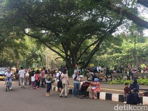 26 Ribu Pengunjung Padati Kebun Binatang Ragunan Hari Ini 26 Ribu Pengunjung Padati Kebun Binatang Ragunan Hari Ini