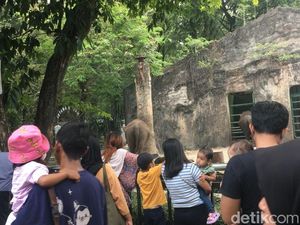 Harga Tiket Murah Jadi Daya Tarik Warga Pilih Wisata ke TM Ragunan