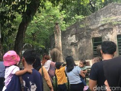 Harga Tiket Murah Jadi Daya Tarik Warga Pilih Wisata ke TM Ragunan