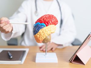Kamu Pelupa? Kata Studi, Memori Bisa Terganggu dalam 4 Hari Saja gegara Junk Food Kamu Pelupa? Kata Studi, Memori Bisa Terganggu dalam 4 Hari Saja gegara Junk Food