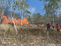 2 Hektare Hutan di Gunung Orak-arik Trenggalek Terbakar
