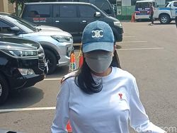 Hari Ini Nikita Mirzani Diperiksa Lagi soal Laporan Terhadap Vadel Badjideh