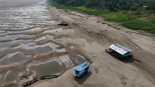 Penampakan Kekeringan Parah Landa Wilayah Amazon Brasil