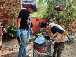 Awal Mula Pemilik Curiga 4 Burungnya Seharga Belasan Juta Raib di Kulon Progo