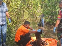 Misteri Kerangka Manusia dalam Parit di Kebun Kelapa Warga