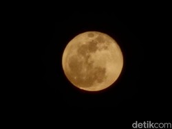 Fenomena Supermoon 5 November 2025: Waktu, Cara Melihat, dan Dampaknya