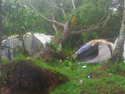 Kronologi 18 Pelajar-Guru Lagi Pramuka Tertimpa Pohon Hingga 2 Tewas di Labuhanbatu