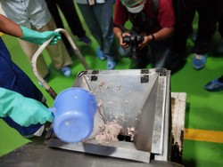 Produsen Sebut Sudah Produksi Susu Ikan Sejak Tahun Lalu