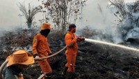 5 Daerah di Sumsel Rawan Karhutla Sudah Tetapkan Siaga Karhutla, Siapa Saja?