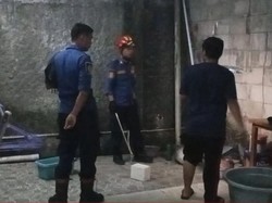Panik Ular Masuk Pekarangan Rumah, Warga Cibinong Bogor Lapor Damkar