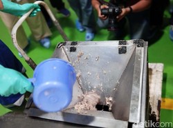 KKP Klaim Banyak Pengusaha Minat Bangun Pabrik Bahan Baku Susu Ikan