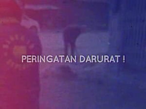 Bobby Unggah Peringatan Darurat, Apa yang Terjadi di Medan?