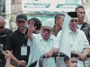 Susunan Lengkap Tim Pemenangan Wilayah Zul-Uhel di Pilgub NTB Susunan Lengkap Tim Pemenangan Wilayah Zul-Uhel di Pilgub NTB