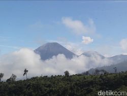 Gunung Semeru Erupsi Luncurkan Abu Vulkanik 500 Meter Gunung Semeru Erupsi Luncurkan Abu Vulkanik 500 Meter