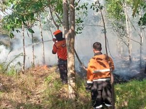 Karhutla di Muara Enim Meluas, Perkebunan Karet Warga Terdampak Karhutla di Muara Enim Meluas, Perkebunan Karet Warga Terdampak