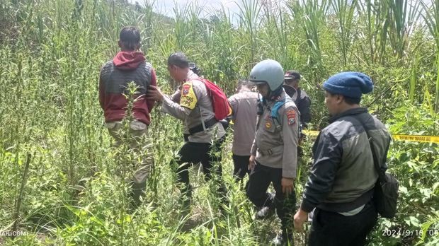 Petugas gabungan Polres Lumajang, Jawa Timur, menemukan ladang ganja di lereng Gunung Semeru kawasan Taman Nasional Bromo Tengger Semeru (TNBTS), tepatnya di Desa Argosari, Kecamatan Senduro, Lumajang. Tim gabungan yang terdiri dari TNI, Polri, dan petugas TNBTS sendiri berhasil menemukan empat titik ladang ganja. Total keseluruhan, petugas berhasil mengamankan sekitar 453 tanaman ganja. (Dok. TNBTS)