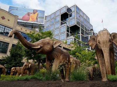 Migrasi Besar-besaran Gajah India Sampai di New York, Soroti Isu Lingkungan