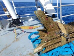 Jejak Kapal Romawi Ditemukan, Ternyata Begini Strategi Perang Laut 2.300 Tahun Lalu