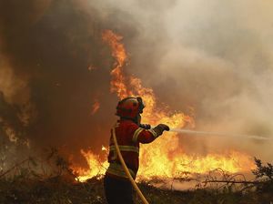Perjuangan Damkar Padamkan Kebakaran Hutan di Portugal Perjuangan Damkar Padamkan Kebakaran Hutan di Portugal