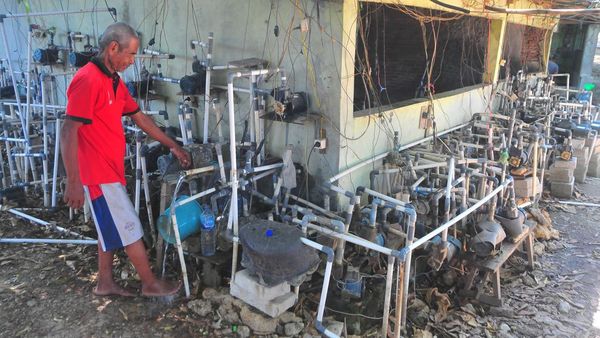 Potret Warga Grobogan Maksimalkan Sumber Mata Air di Musim Kemarau
