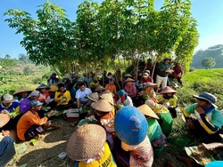 Ahmad Luthfi Belanja Masalah ke Petani Batang, Bahas Pupuk-Kartu Tani