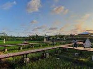 7 Desa Wisata di Kebumen yang Cocok Dikunjungi Bersama Keluarga 7 Desa Wisata di Kebumen yang Cocok Dikunjungi Bersama Keluarga