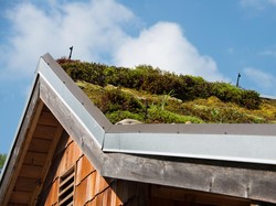 Pakai Atap Hijau Punya Segudang Manfaat! Ini Daftarnya