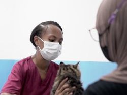 Kisah Amelia, Gadis Papua yang Jadi Dokter Hewan Berkat Beasiswa ADik