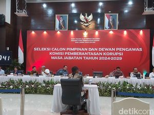 Kasus Firli hingga Dugaan Korupsi di Lapas dari Kaca Mata Cadewas KPK Kasus Firli hingga Dugaan Korupsi di Lapas dari Kaca Mata Cadewas KPK