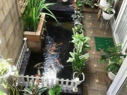 6 Hal yang Wajib Kamu Pertimbangkan Sebelum Membuat Kolam Ikan