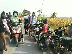 Kakek di Lamongan Tewas Terpanggang Saat Bakar Jerami di Sawah Kakek di Lamongan Tewas Terpanggang Saat Bakar Jerami di Sawah