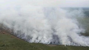 Bakar Lahan Tebu Jelang Panen Jadi Biang Kerok Karhutla di Sumsel