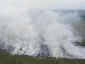 7 Kabupaten Sumsel Terjadi Karhutla, Pemadaman Darat dan Udara Dioptimalkan