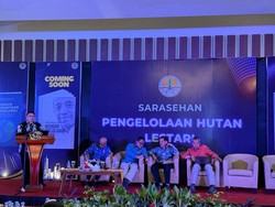 KLHK Ungkap Urgensi Sinkronisasi Perencanaan Pembangunan LH Pusat-Daerah