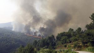 Penampakan Kepulan Asap Kebakaran Hutan di Portugal
